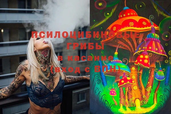 а пвп мука Баксан