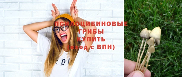 винт Балахна