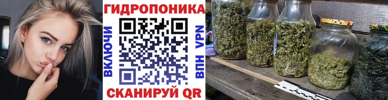 Шишки марихуана THC 21%  Лермонтов 